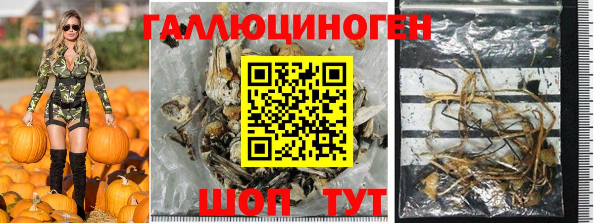 Псилоцибиновые грибы прущие грибы Сертолово