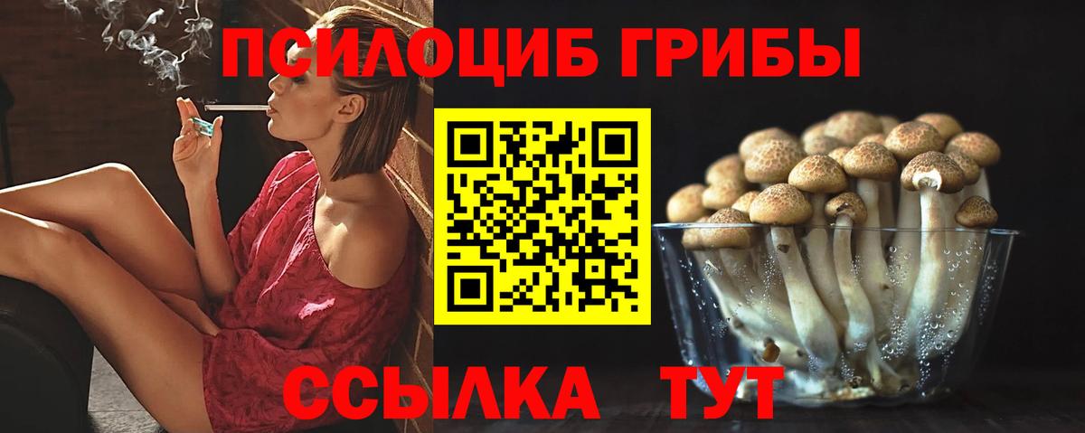 Сертолово  Галлюциногенные грибы прущие грибы  Вход с VPN 